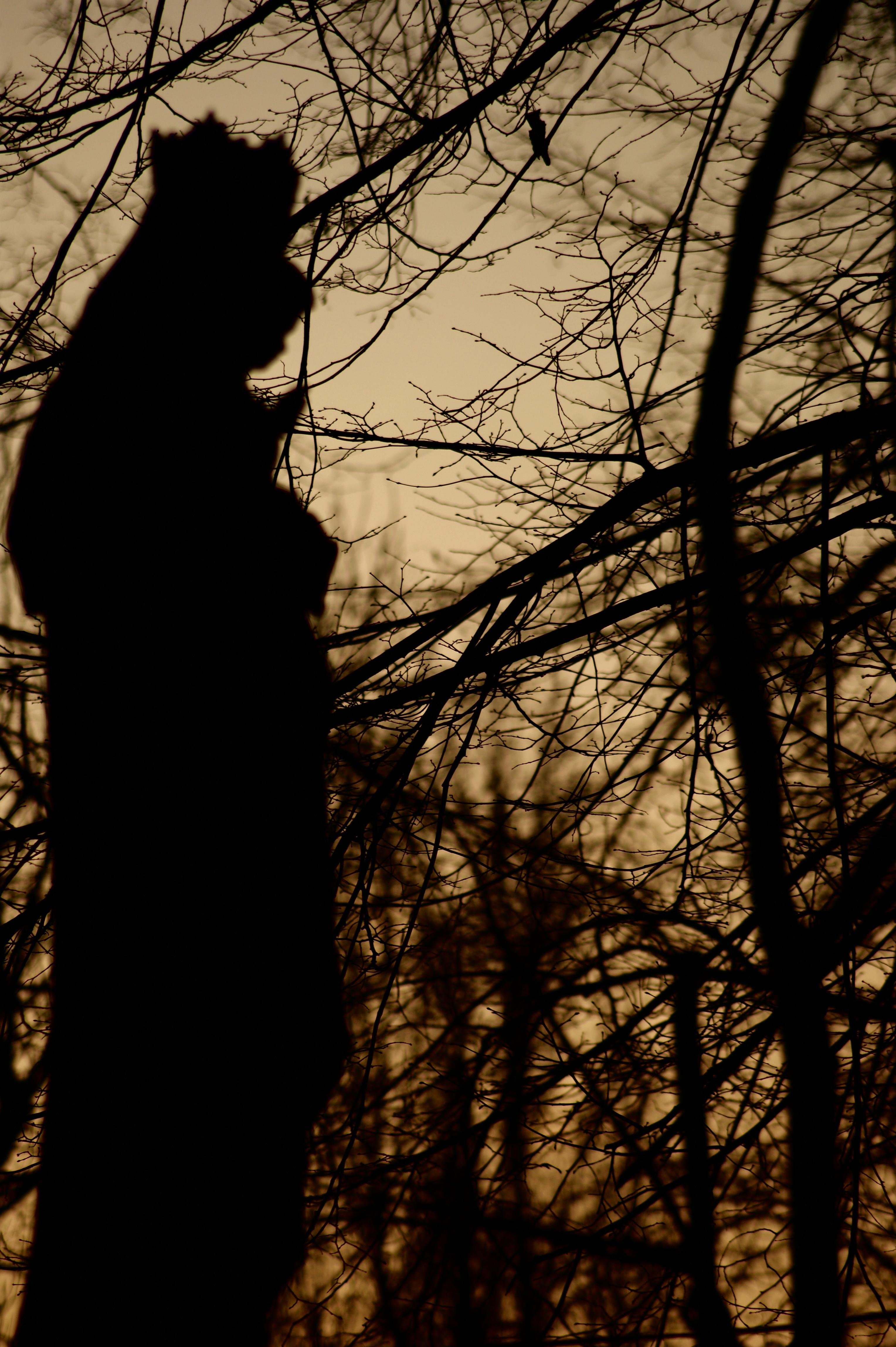 Stary Cmentarz w Ostrowie Wielkopolskim